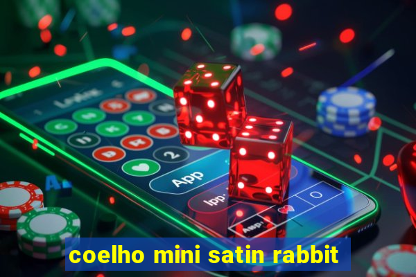 coelho mini satin rabbit